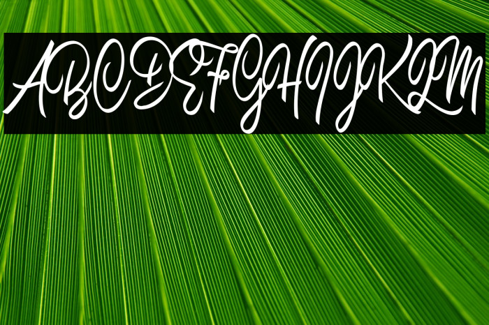 Space Jam Personal Use  Example 1