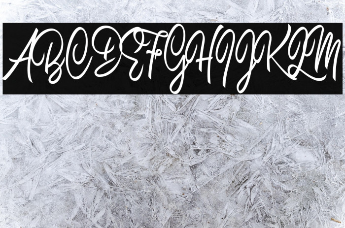 Space Jam Personal Use  Example 3