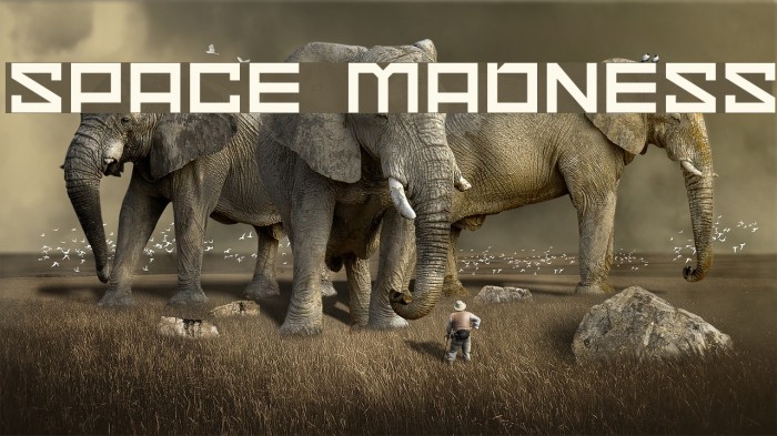 Space Madness Example 2