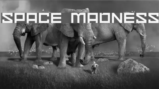 Space Madness Font examples