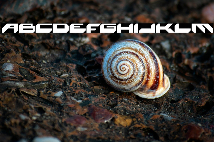 Space Monkey Bold Example 1