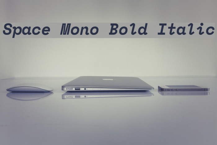 Space Mono Bold Italic Font examples