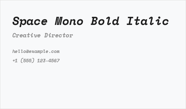 Space Mono Bold Italic Business Card