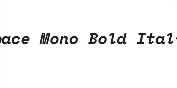 Space Mono Bold Italic Logo