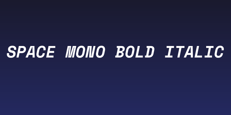 Space Mono Bold Italic Social Header