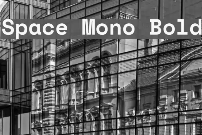 Space Mono Bold Font examples