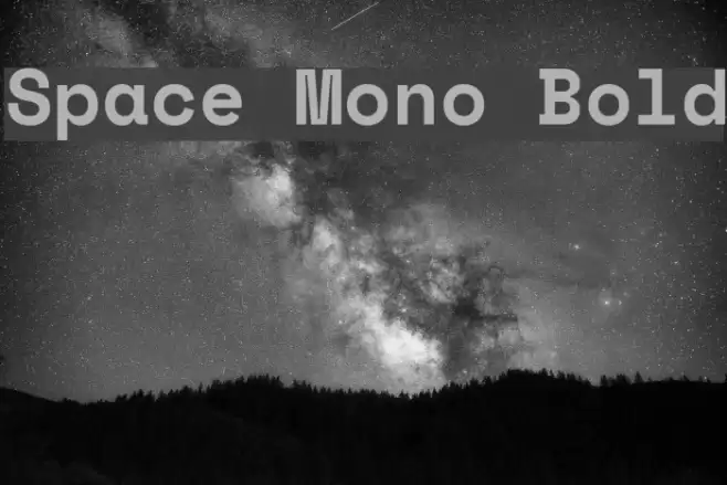 Space Mono Bold Font examples