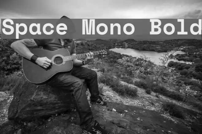 Space Mono Bold Font examples