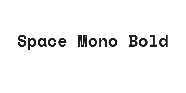 Space Mono Bold Logo