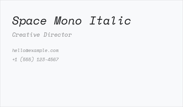 Space Mono Italic Business Card