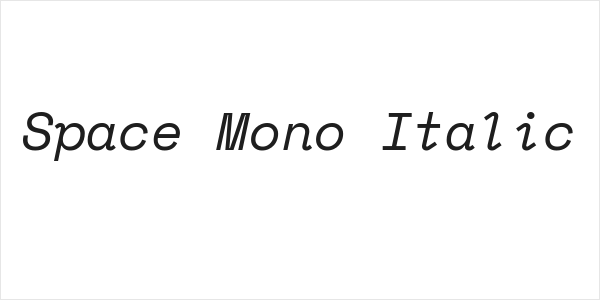Space Mono Italic Logo