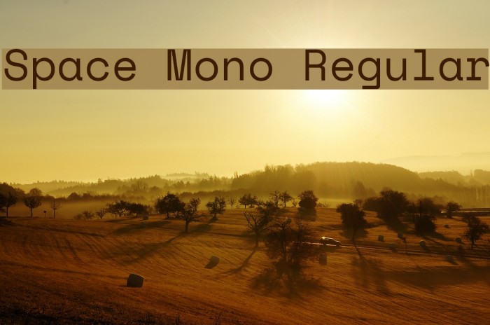 Space Mono Regular Font examples
