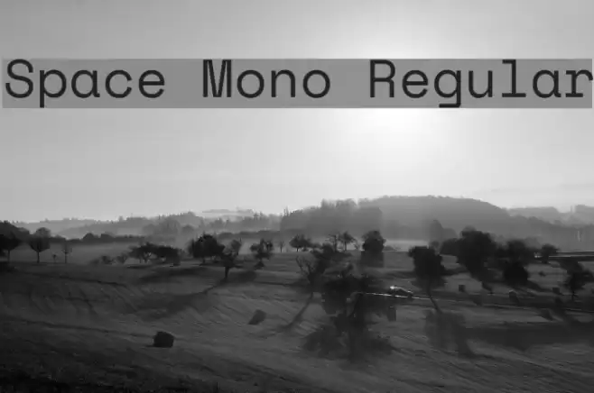 Space Mono Regular Font examples