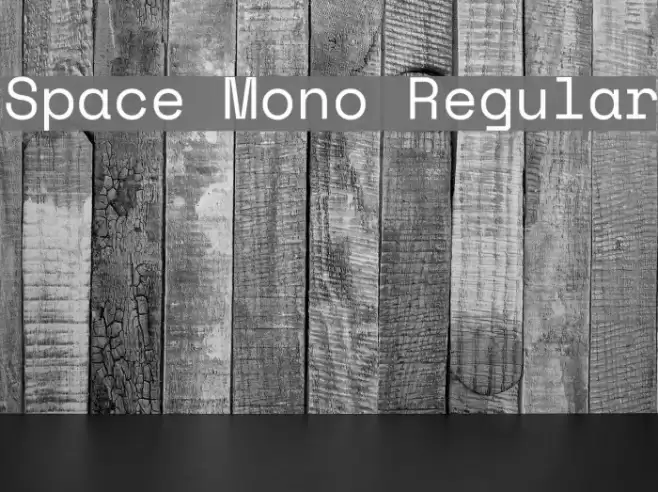 Space Mono Regular Font examples