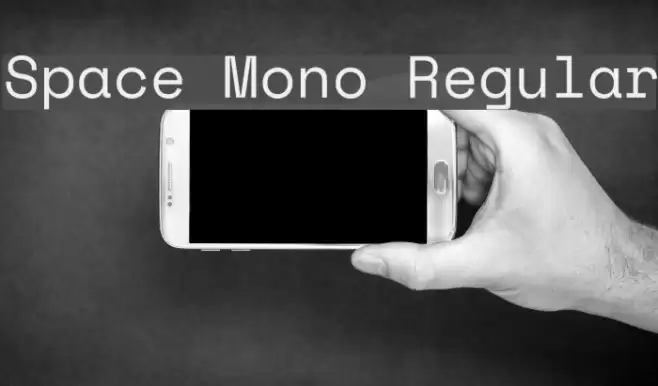 Space Mono Regular Font examples