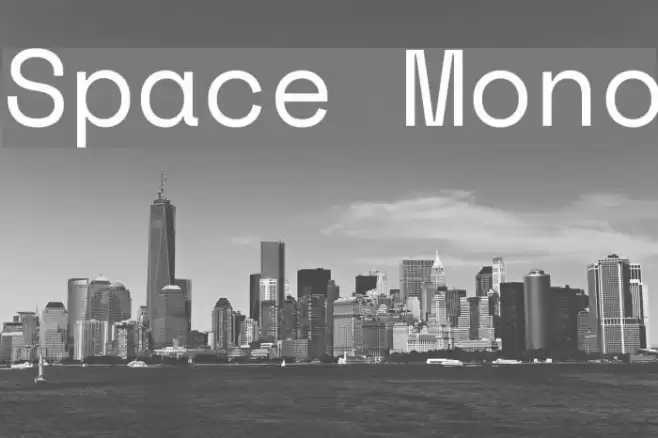 Space Mono Font examples