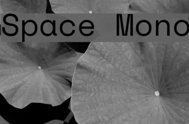 Space Mono Font examples