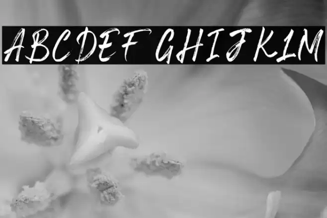 Space Outside Font examples