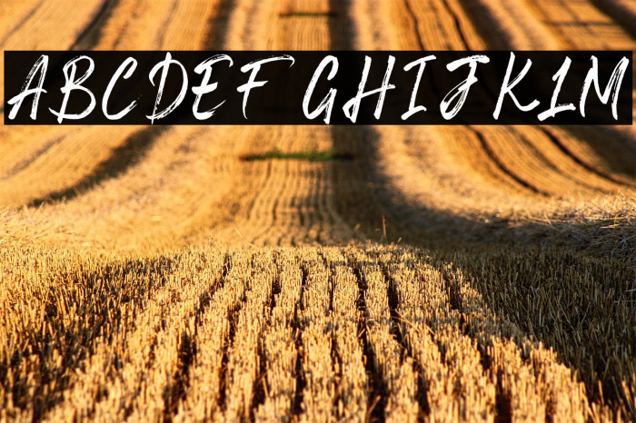 Space Outside Example 3