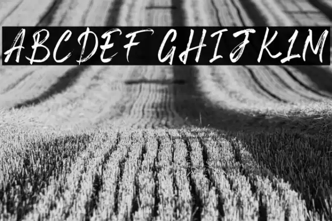 Space Outside Font examples