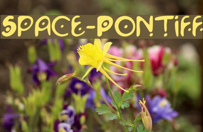 Space-Pontiff Font examples