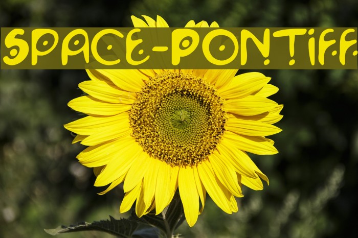Space-Pontiff Font examples