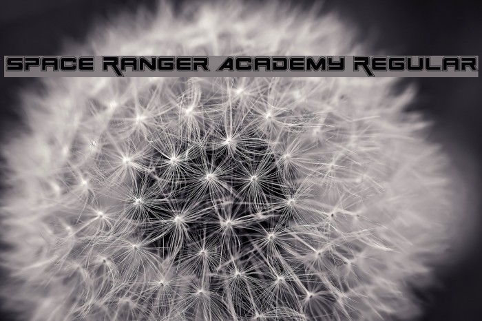 Space Ranger Academy Regular Example 1
