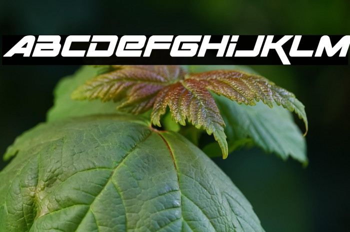 Space Ranger Bold Italic Example 1