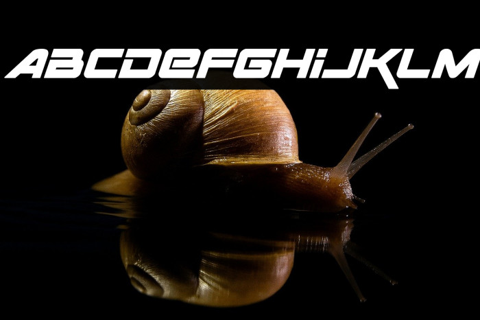 Space Ranger Bold Italic Example 2