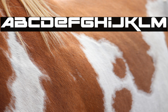 Space Ranger Bold Example 1