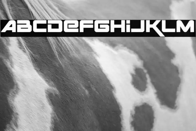 Space Ranger Bold Font examples