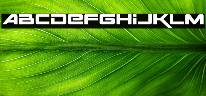 Space Ranger Expanded Example 1