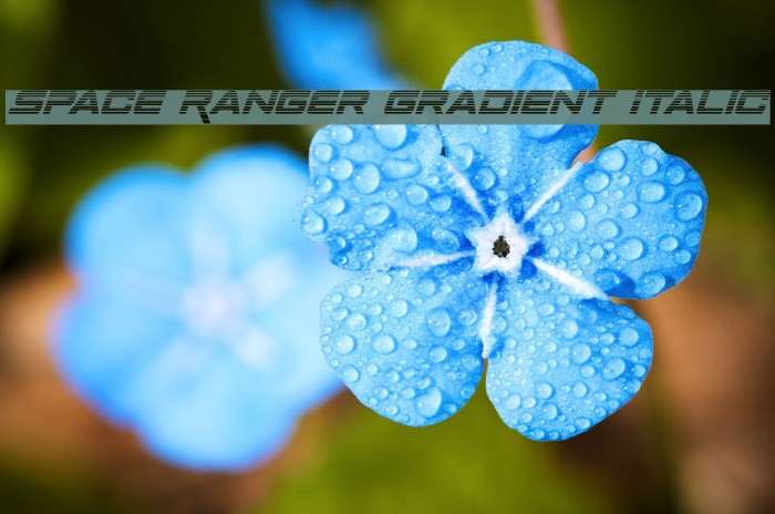 Space Ranger Gradient Italic Font examples
