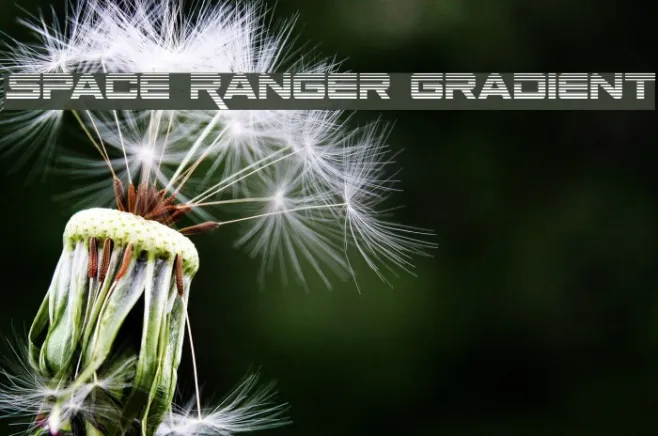 Space Ranger Gradient Example 3