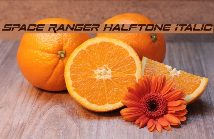 Space Ranger Halftone Italic Font examples