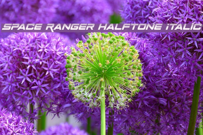 Space Ranger Halftone Italic Font examples