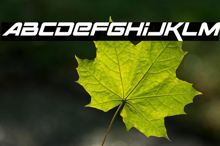 Space Ranger Italic Example 2