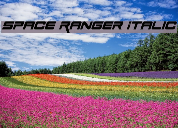 Space Ranger Italic Font examples