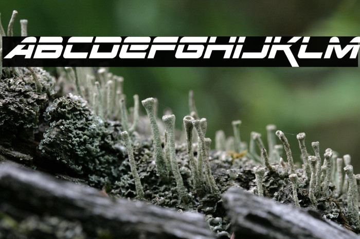 Space Ranger Laser Italic Example 3