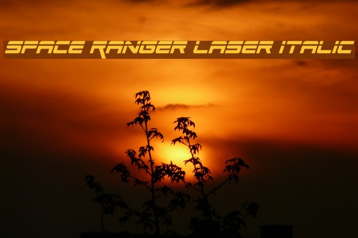 Space Ranger Laser Italic Example 1