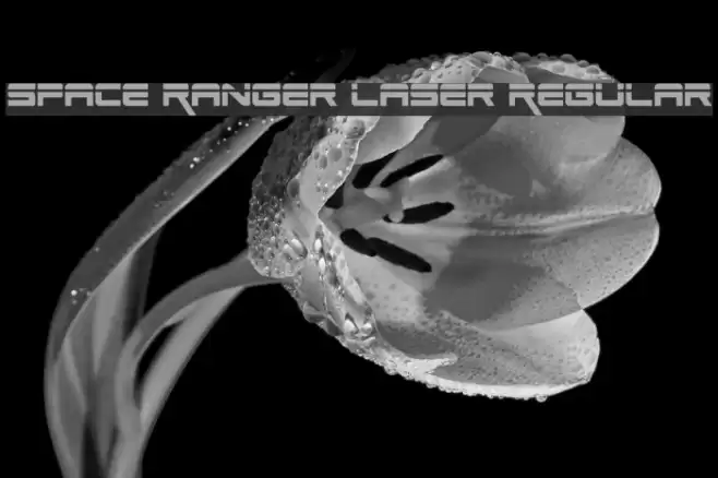 Space Ranger Laser Regular Font examples