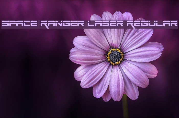 Space Ranger Laser Regular Font examples