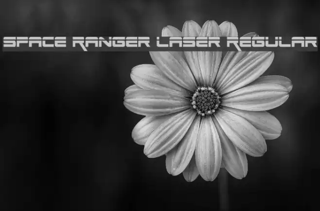 Space Ranger Laser Regular Font examples