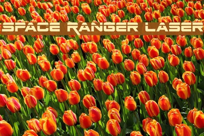 Space Ranger Laser Example 2