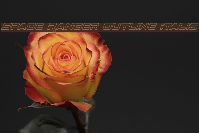 Space Ranger Outline Italic Font examples