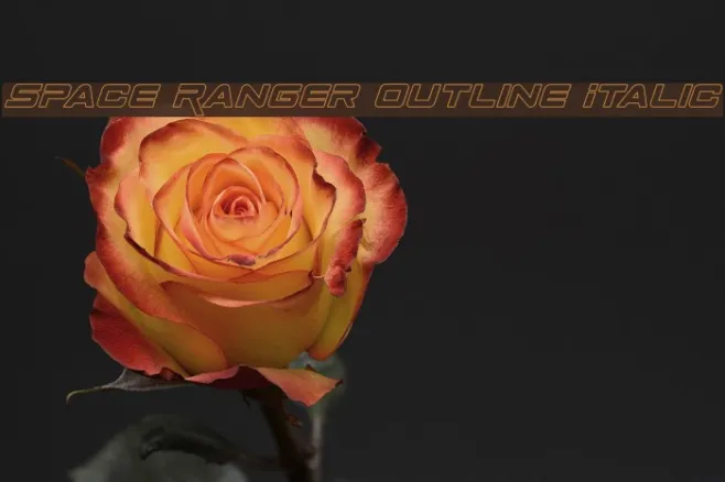 Space Ranger Outline Italic Example 1