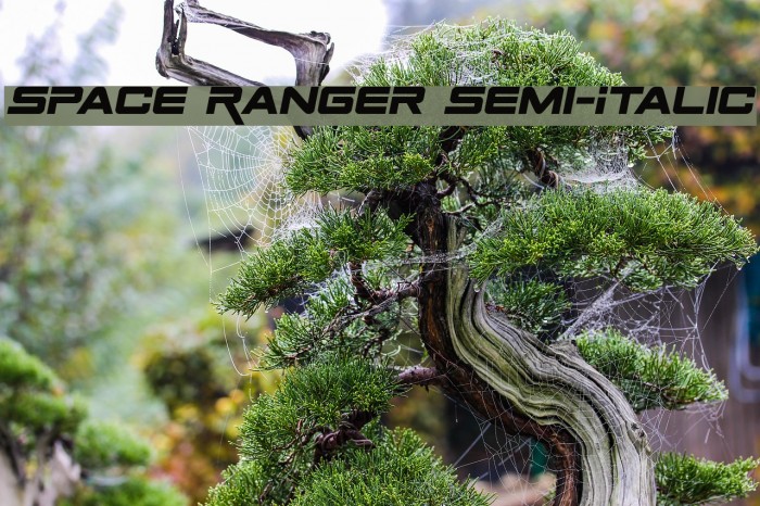 Space Ranger Semi-Italic Font examples
