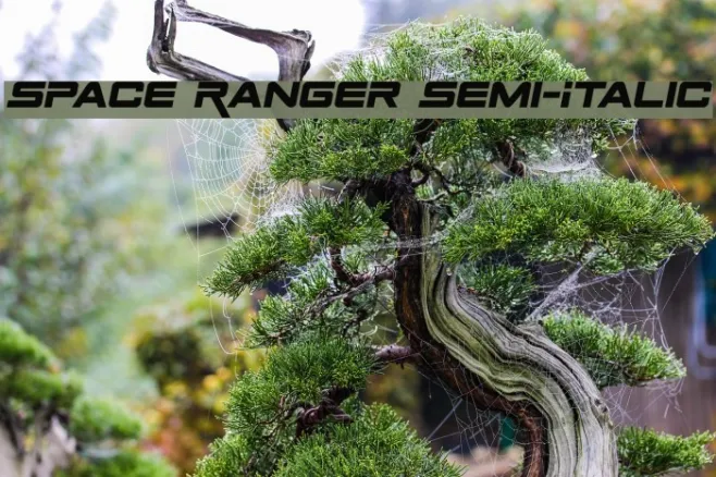Space Ranger Semi-Italic Example 1