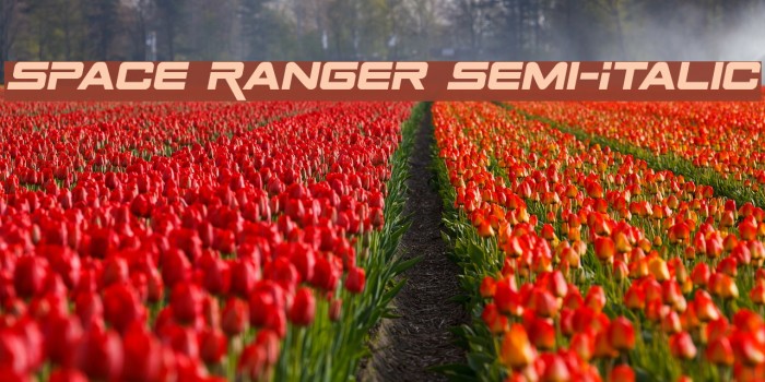 Space Ranger Semi-Italic Font examples