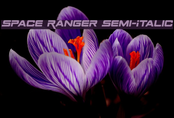 Space Ranger Semi-Italic Font examples